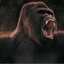 Silverback32