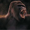 Silverback32